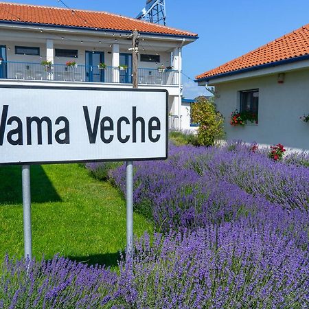 Hotel The Old Border Vama Veche Exterior foto