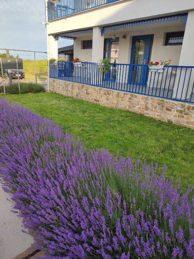 Hotel The Old Border Vama Veche Exterior foto