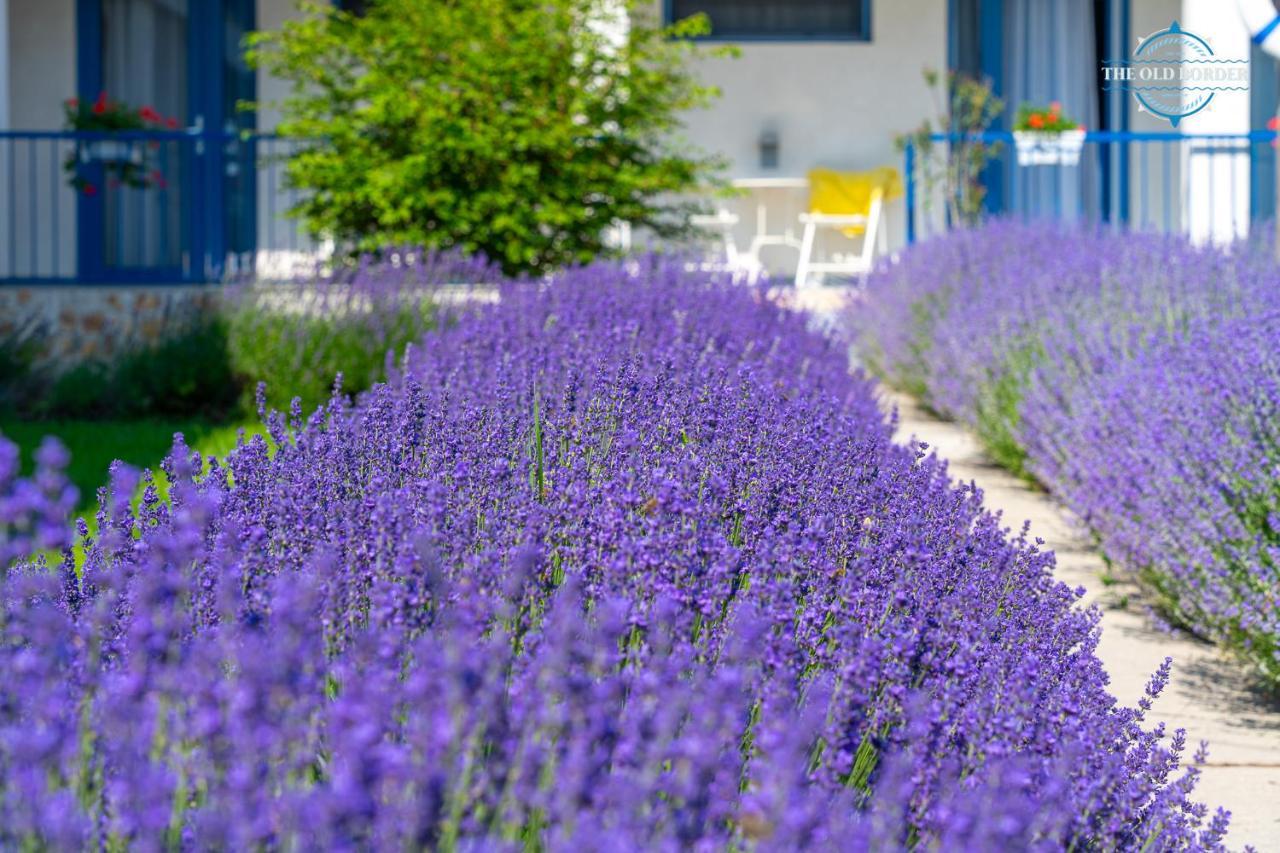 Hotel The Old Border Vama Veche Exterior foto