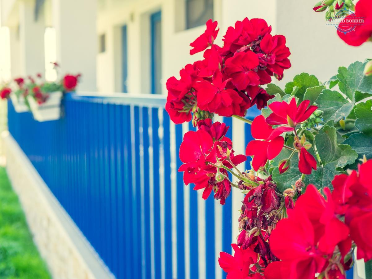 Hotel The Old Border Vama Veche Exterior foto
